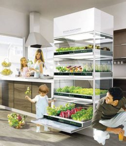 Homefarming: Hyundai Nano kitchen