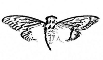 Cicada 3301 logo